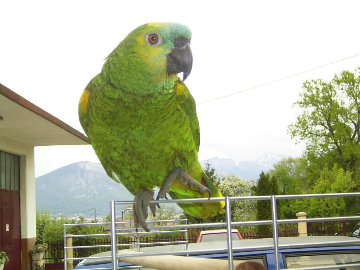 Le Paon Bleu Annecy Poisy住宿加早餐旅馆 外观 照片